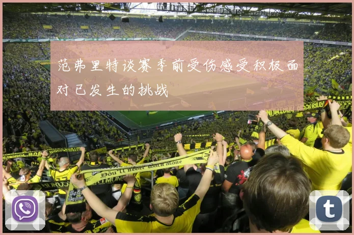 范弗里特谈赛季前受伤感受积极面对已发生的挑战